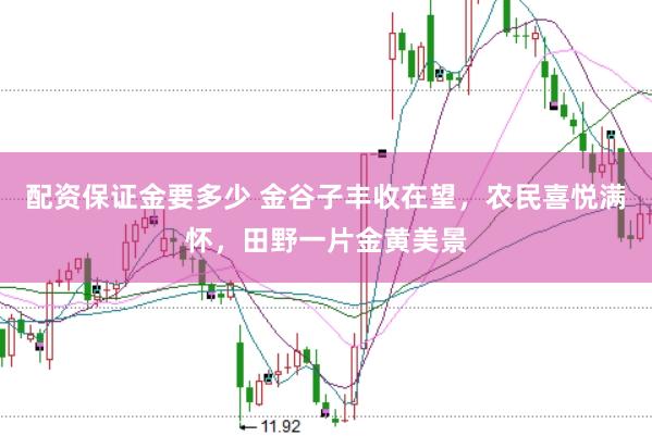 配资保证金要多少 金谷子丰收在望,农民喜悦满怀,田野一片金黄美景