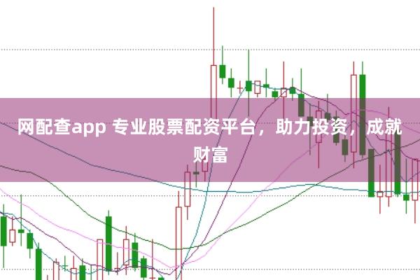 网配查app 专业股票配资平台，助力投资，成就财富