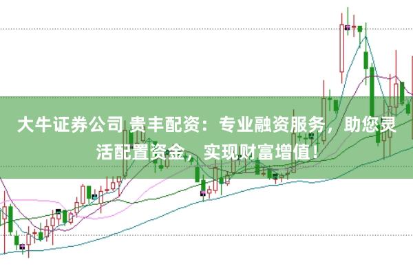 大牛证券公司 贵丰配资：专业融资服务，助您灵活配置资金，实现财富增值！