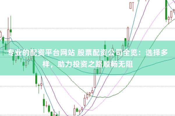 专业的配资平台网站 股票配资公司全览：选择多样，助力投资之路顺畅无阻
