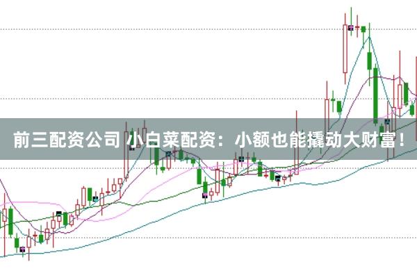 前三配资公司 小白菜配资:小额也能撬动大财富!