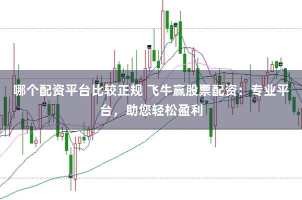 哪个配资平台比较正规 飞牛赢股票配资:专业平台,助您轻松盈利