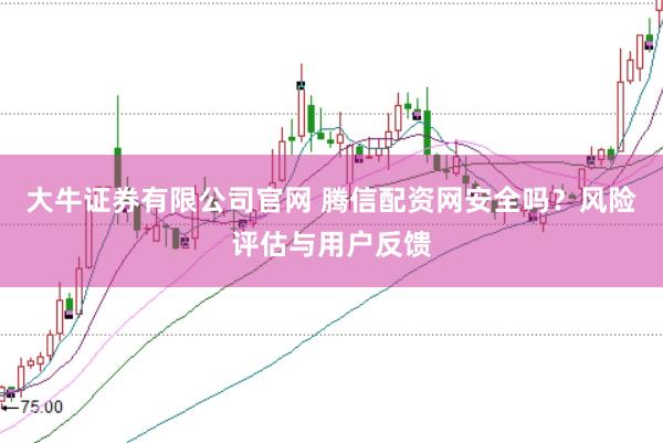 大牛证券有限公司官网 腾信配资网安全吗？风险评估与用户反馈