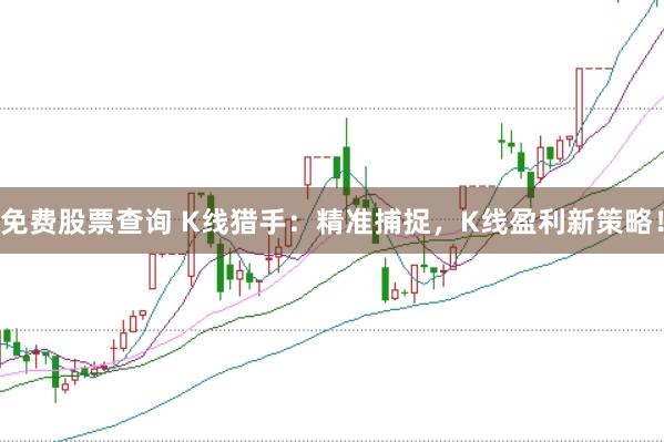 免费股票查询 K线猎手：精准捕捉，K线盈利新策略！
