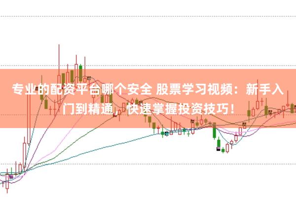 专业的配资平台哪个安全 股票学习视频：新手入门到精通，快速掌握投资技巧！