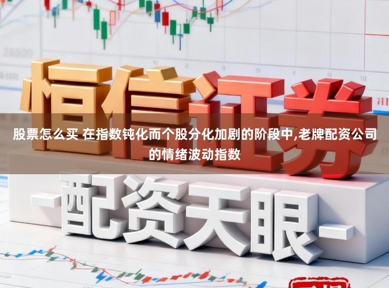 股票怎么买 在指数钝化而个股分化加剧的阶段中,老牌配资公司的情绪波动指数