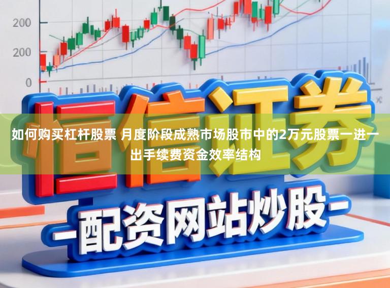 如何购买杠杆股票 月度阶段成熟市场股市中的2万元股票一进一出手续费资金效率结构